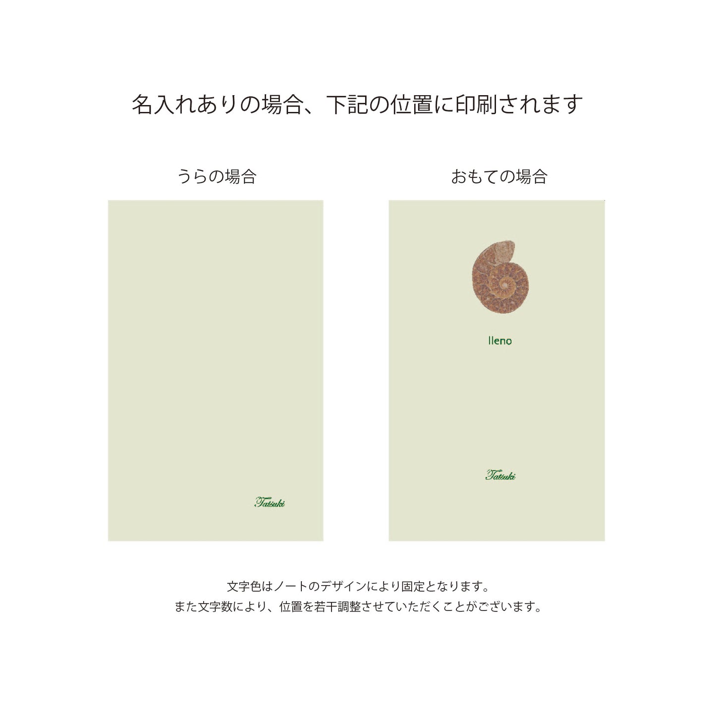 アンモナイト