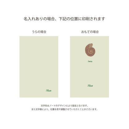 アンモナイト